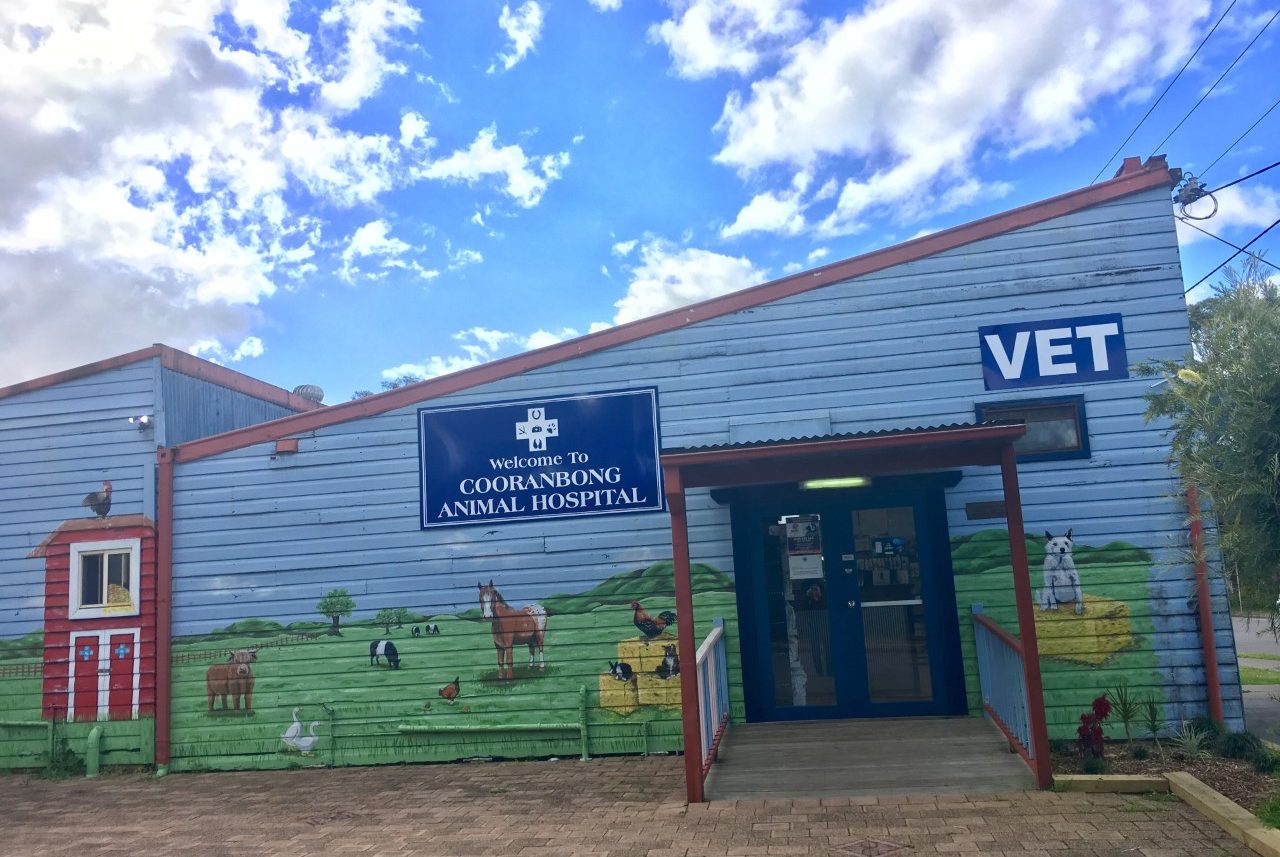 Cooranbong Animal Hospital front entrance