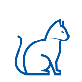 cat-icon-blue