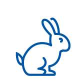 rabbit-icon-blue