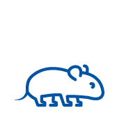 guinea-pig-icon-blue