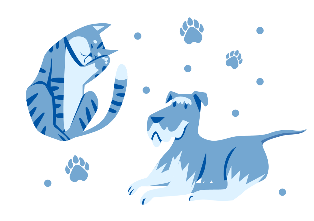 cat-schnauzer-blue-illustration