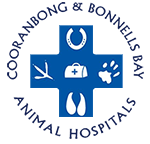 Cooranbong Animal Hospital – Bonnells Bay Animal Hospital